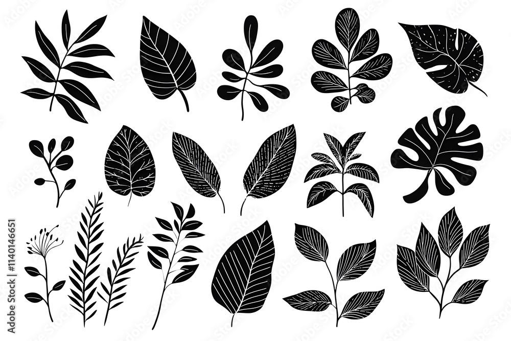Fototapeta premium Set of black hand drawn floral elements and silhouettes of tropical leaves, isolated on white background