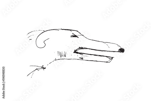 Hunting Sighthound hand-drawn sketches - minimalist ink drawing - Borzoi, hunting sighthound, whippet - linear vector illustrations. Dog breeding business concept.