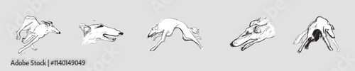 Hunting Sighthound hand-drawn sketches - minimalist ink drawing - Borzoi, hunting sighthound, whippet - linear vector illustrations. Dog breeding business concept.