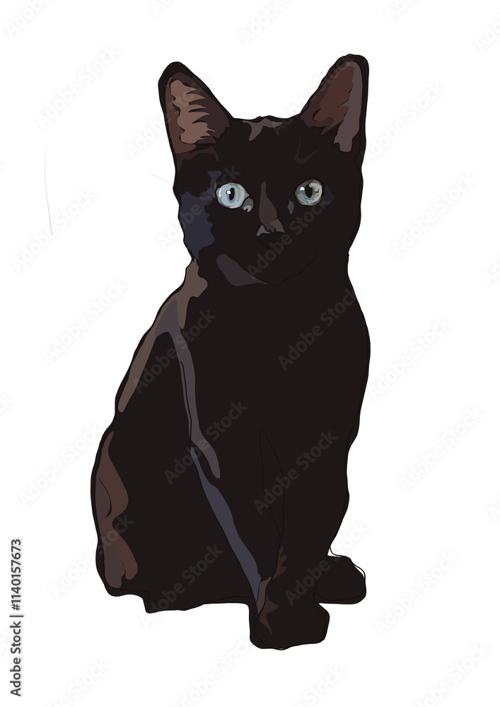 cats cats