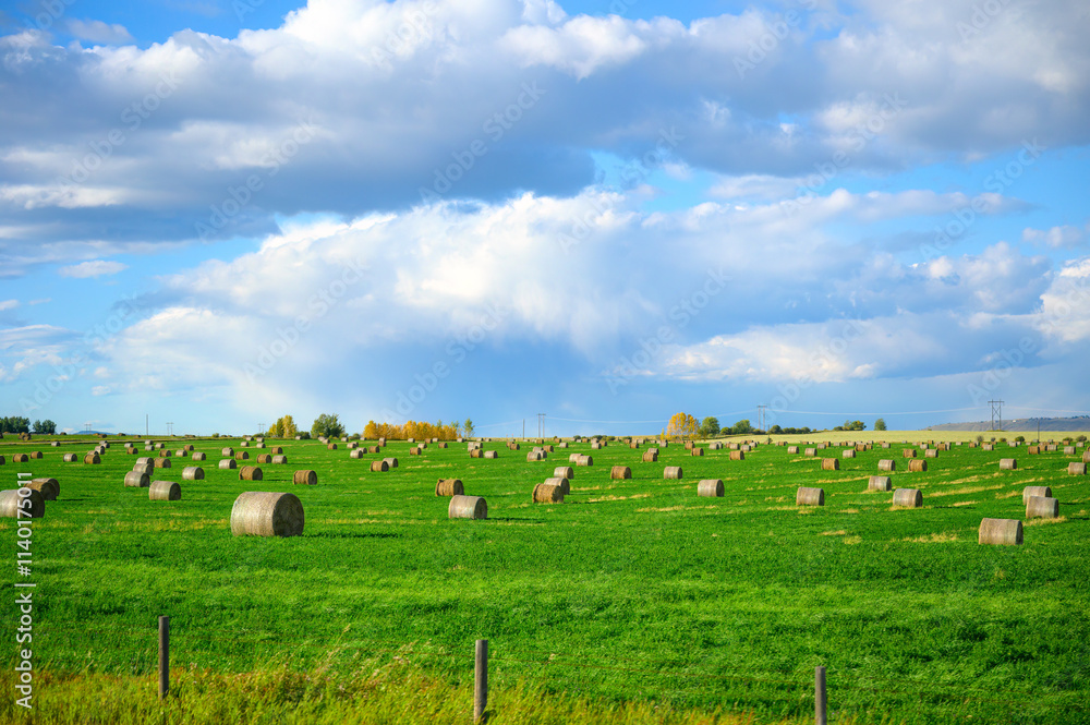 Scenic road trip with lush meadow and haystack on agricultural field in countryside Scenic road trip with lush meadow and haystack on agricultural field in countryside