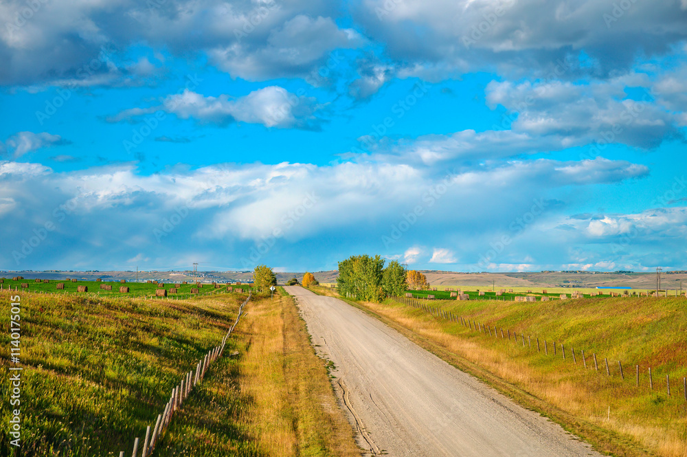 Scenic country road through agricultural field and pasture in autumn at countryside Scenic country road through agricultural field and pasture in autumn at countryside