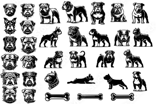 Bulldog svg silhouette collection set, pet bulldog vector , bulldog face and body in different position and styles