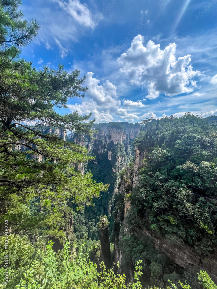Fototapeta premium Zhangjiajie scenic area in Hunan Province, China