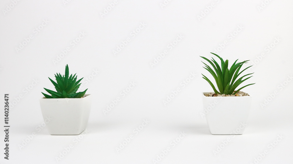 Artificial succulent plant in ceramic pot Artificial succulent plant in ceramic pot