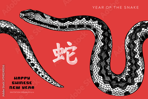 Chinese New Year 2025 greeting card template. Year of the snake invitation design. Hand-drawn snake illustration. NOT AI generated