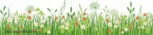 Flowers and grass seamless border, meadow flowers and wild strawberries,