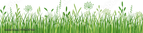 green-grass522