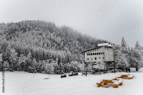 A winter landscape in the Tatra Mountains, Poland. The photo captures a snowy forest and the Kalatówki mountain lodge under an overcast sky, evoking a serene and chilly atmosphere. photo