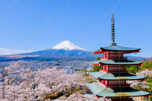 新倉山浅間公園　春の富士山