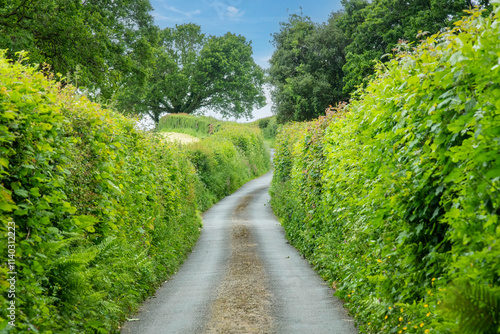 Drivers perspective view of narrow road in in Dartmoor National Park, Devon, UK lined with high hedges, hedgebanks and stone walls making driving treacherous  photo