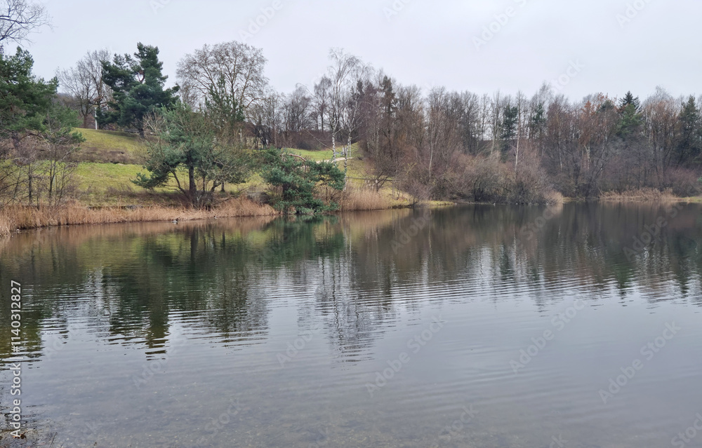 A lake in Irchelpark in Zurich in Switzerland, surrounded by trees and grassy areas in late autumn A lake in Irchelpark in Zurich in Switzerland, surrounded by trees and grassy areas in late autumn
