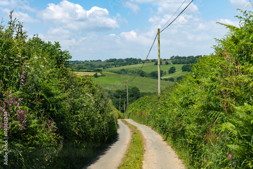 Hilly agricultural landscape seen from winding road lined with high hedges, hedgebanks and stone walls in Dartmoor National Park with white clouded blue sky