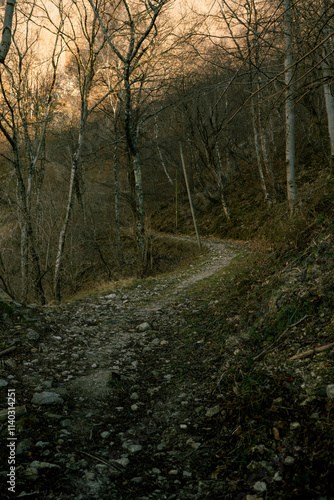 sentiero verde