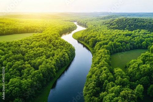 Serene aerial view of a winding river surrounded by lush green forests and fields, highlighting the beauty of nature.