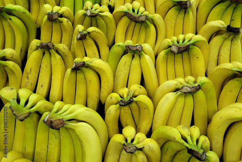 A vibrant market display of fresh yellow bananas arranged in bunches.