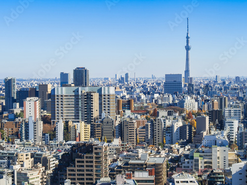 Obraz na płótnie 東京 青空と都市風景 w salonie