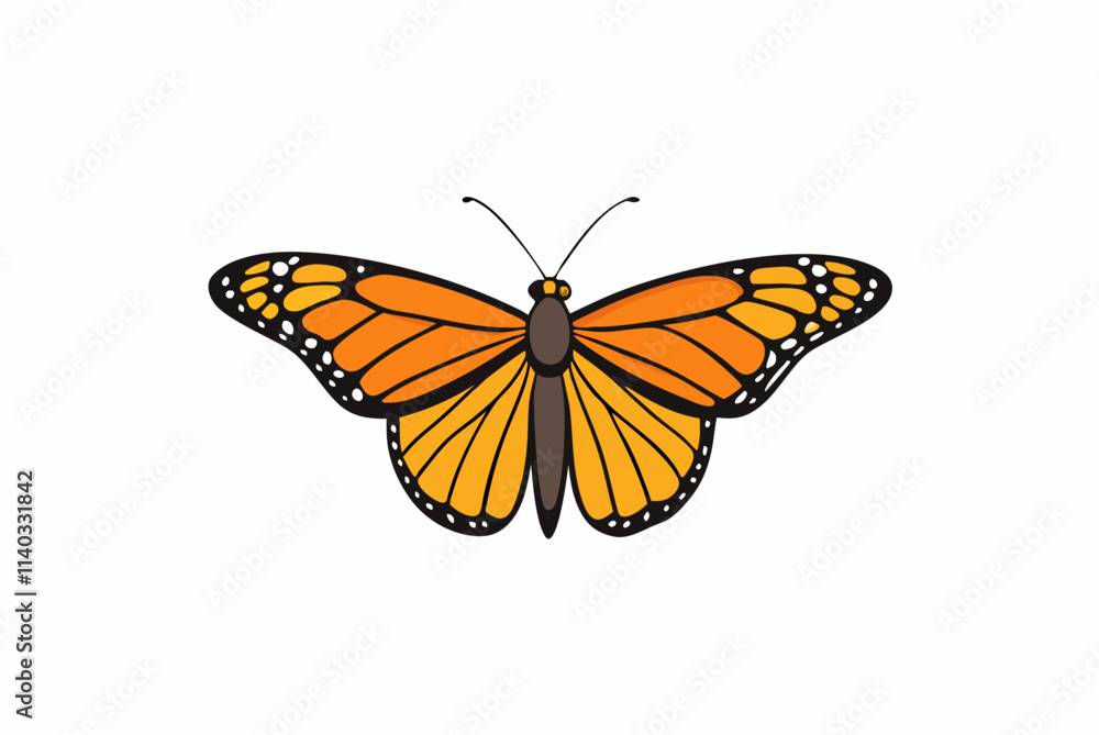 Obraz premium butterfly