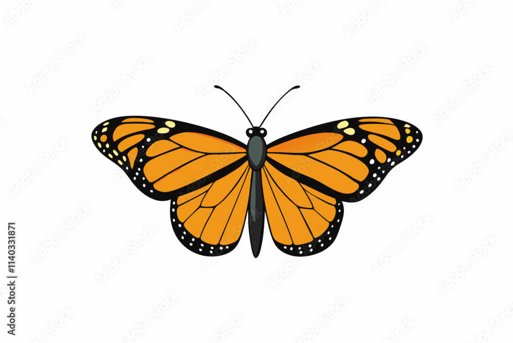 Fototapeta premium butterfly isolated on white