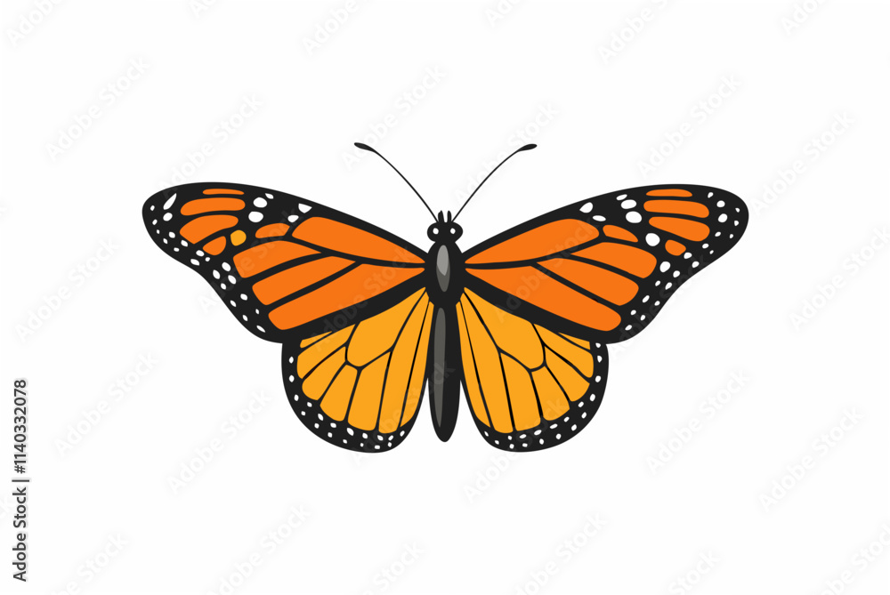 butterfly isolated on white butterfly isolated on white