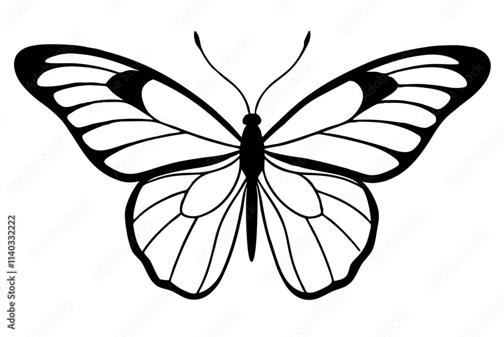 black and white butterfly black and white butterfly