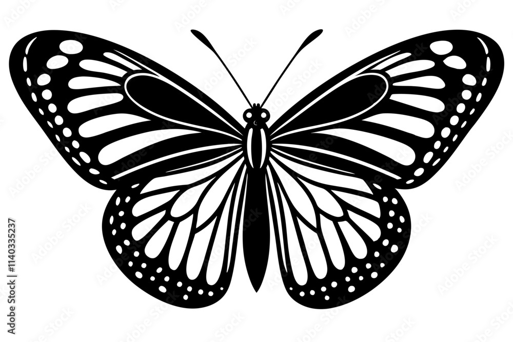 Fototapeta premium butterfly isolated on white background