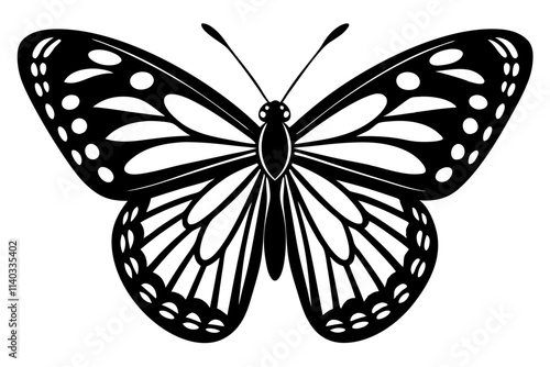 butterfly illustration