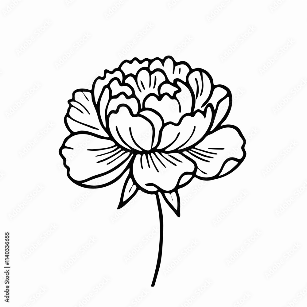 hand drawn flower hand drawn flower