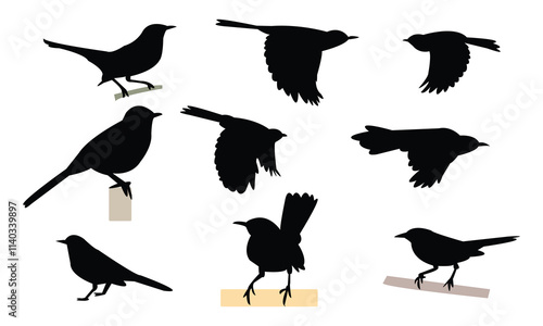 Catbird Silhouette Design  And Vector Illustration. 
