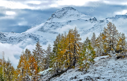 snow covered mountains photo