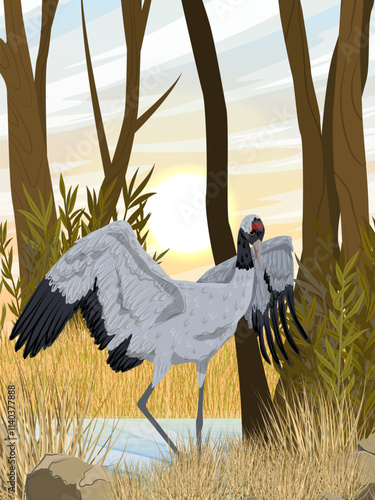 Grey crane on an autumn field on the river bank. Realistic Vector vertical Landscape