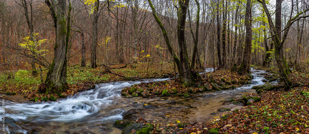 Autumn stream in the forest Autumn stream in the forest