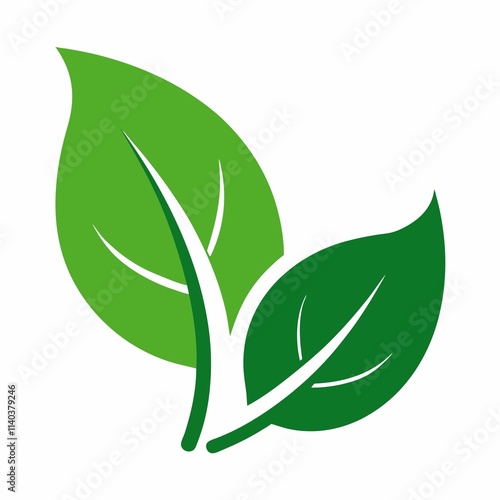 green leaf isolated on white background