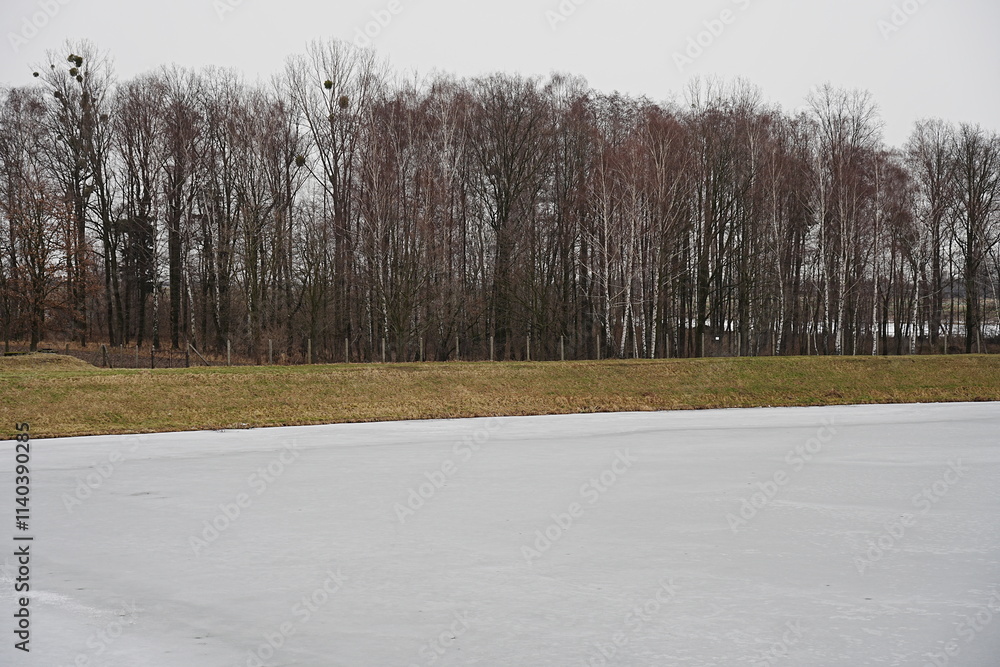 custom made wallpaper toronto digitalFrozen Vistula river and forest in Goczalkowice town at Silesian district in Poland