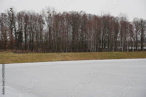Wallpaper Mural Frozen Vistula river and forest in Goczalkowice town at Silesian district in Poland Torontodigital.ca
