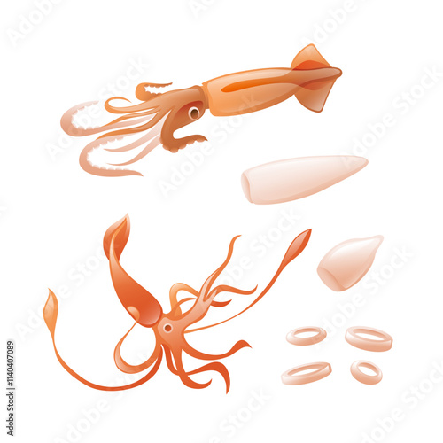 Illustration of squid, squid fillet, and squid rings in realistic 3D style. photo