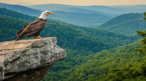 Majestic bald eagle perched on a cliff overlooking a vast mountain range. photo