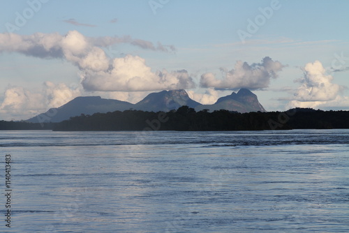 Lush landscape on the Amazon river