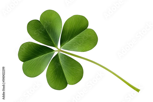 Green four leaf clover png isolated on transparent background