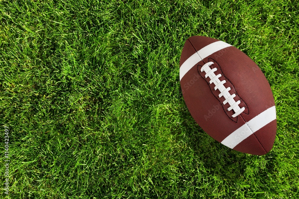 Obraz premium A brown leather ball American football on green field