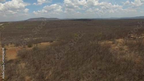 Brazilian backlands, caatinga, drought, landscape with scorching sun photo