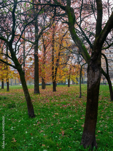 Autumn at Piazza Giovanni XXIII, Milan