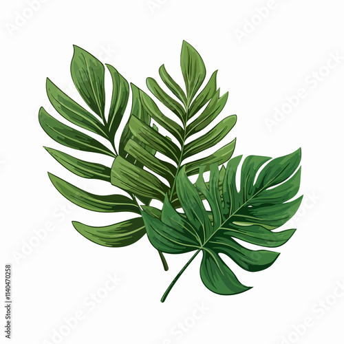 Tropical Plant Fronds Isolated on White Background for Design Projects photo