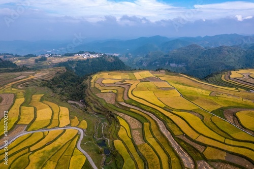 Stunning aerial view of Shimen Terraces showcasing vibrant rice fields in Gaopo, Huaxi District during harvest season photo