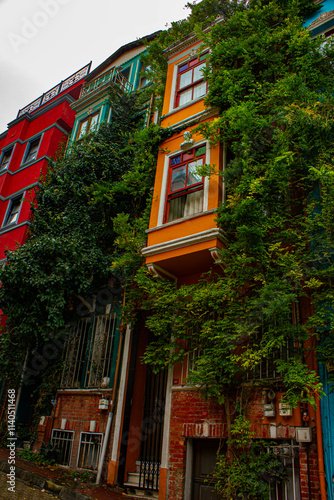 Canvas Print Colorful houses among trees in district Balat in city Istanbul, Turkey