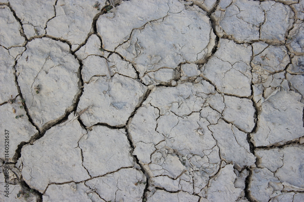 Obraz premium cracked on dehydrated ground