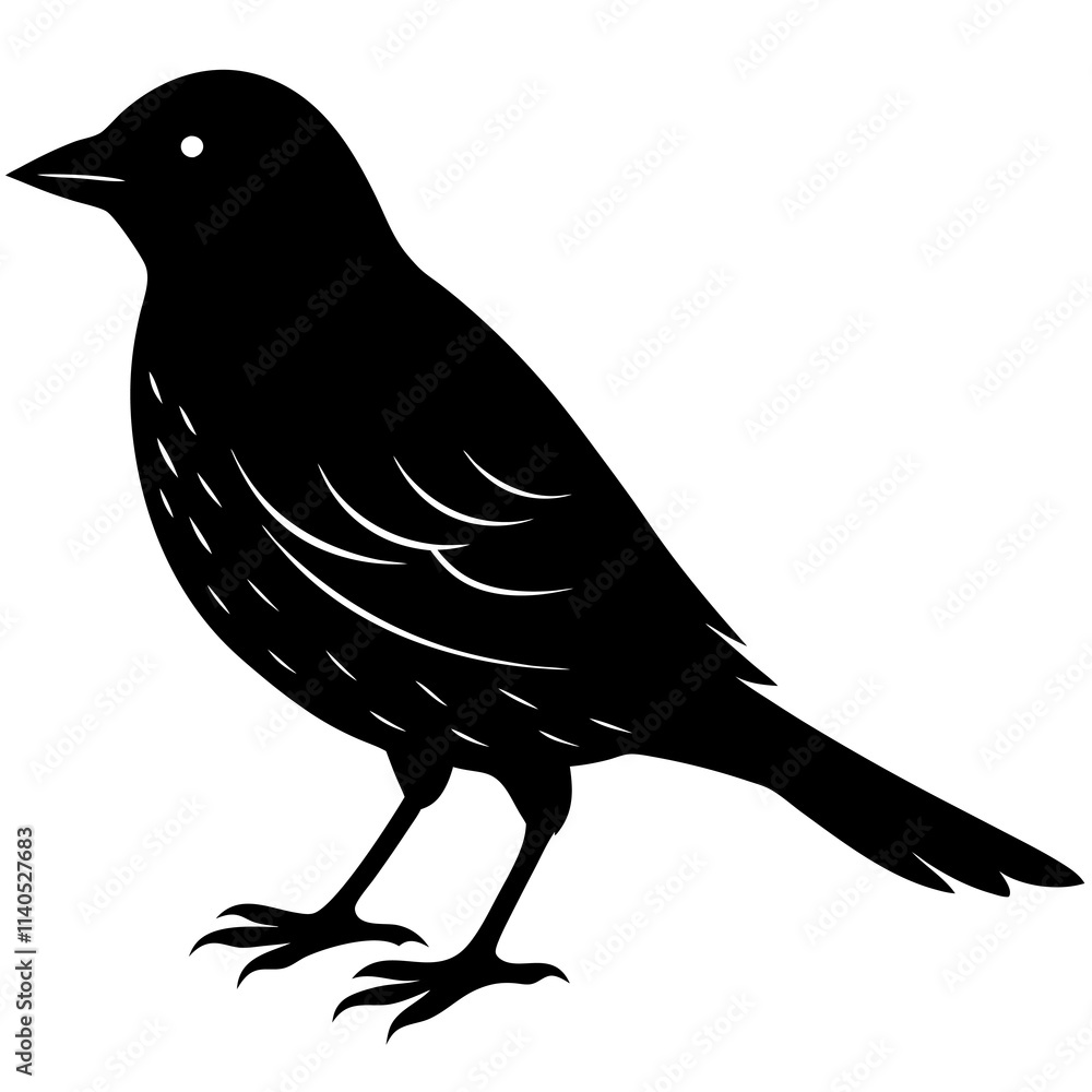 Bird Silhouette vector illustration Bird Silhouette vector illustration
