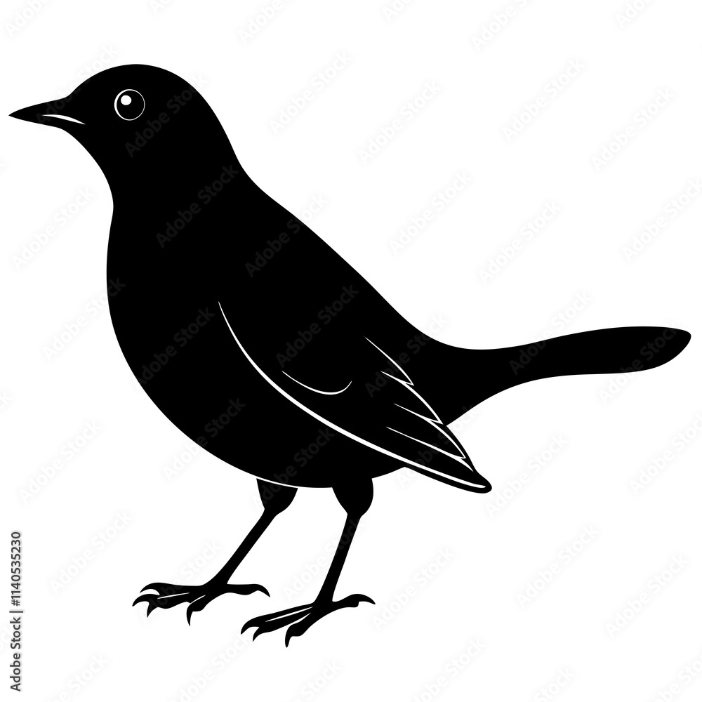 Blackbird Silhouette vector illustration Blackbird Silhouette vector illustration