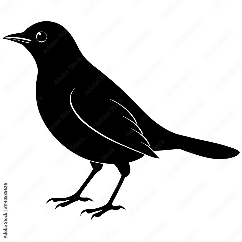 Obraz premium Blackbird Silhouette vector illustration