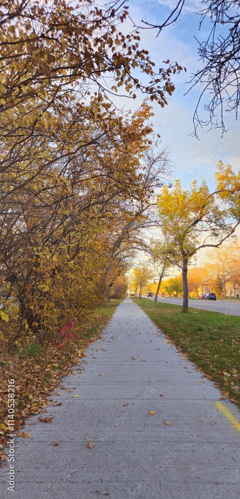 Obraz premium Fall Sidewalk